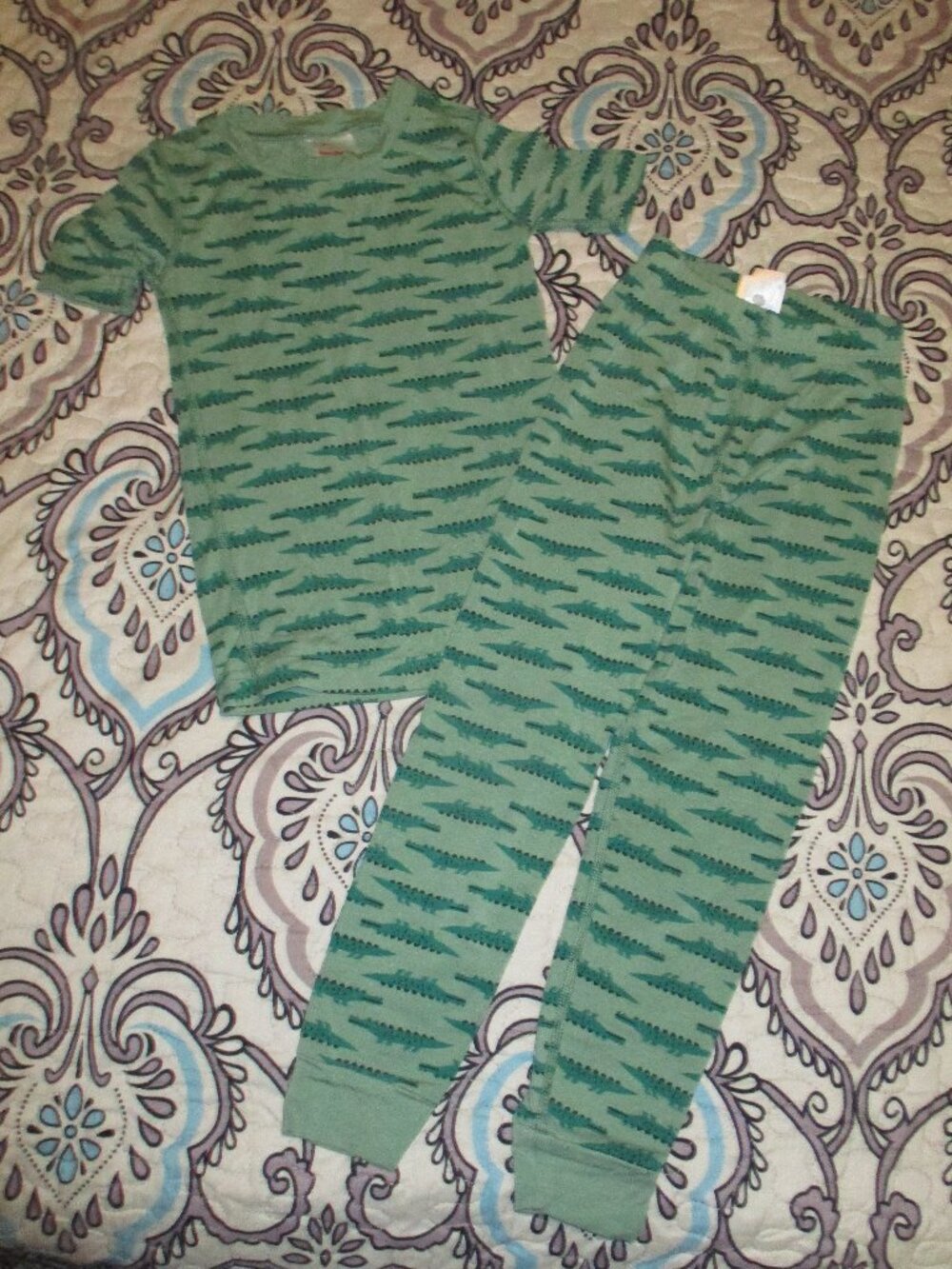 Hanna Andersson Green Alligator Pajama Set - Size 4